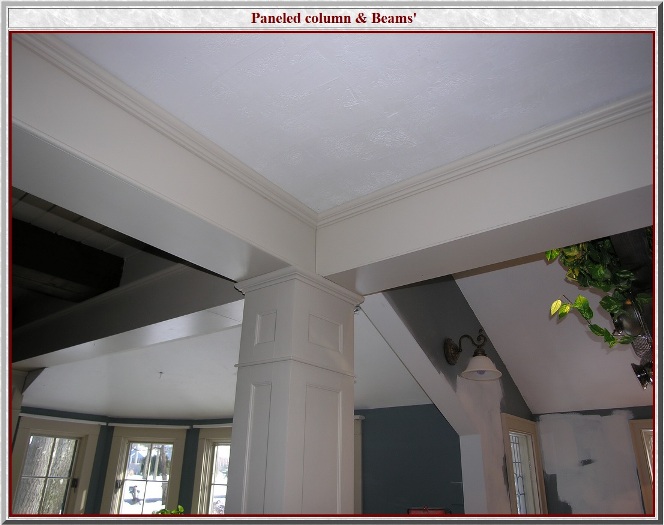 Accessing P_columnCeiling Image!